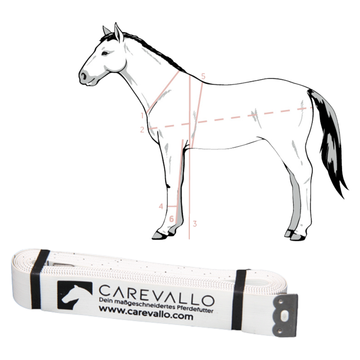 
            main 
            product 
            photo
        