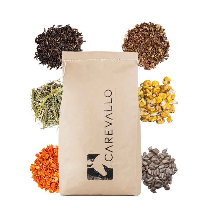 
            main 
            product 
            photo
        
