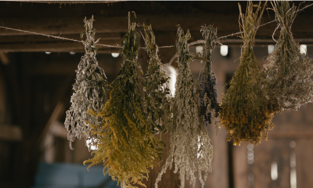 Kräuter fürs Pferd: sinnvoll einsetzen