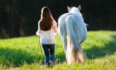 10 Tipps wie du dein Pferd im Frühling und Herbst unterstützen kannst